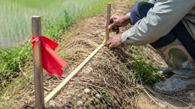 Tỉnh Quảng Ngãi Từ Chối Cấp Sổ Đỏ Vì Ranh Giới Thửa Đất Sai Vài Centimet