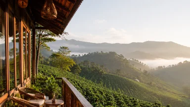 Tây Nguyên Đi Homestay Hay Khách Sạn Mini Mùa Cao Điểm Và Thấp Điểm