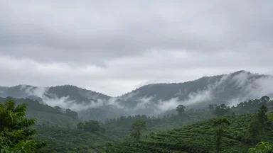 Đà Lạt Buôn Ma Thuột Pleiku Mùa Mưa Bão Và Bài Học Đi Trái Vụ Luôn Rẻ Hơn